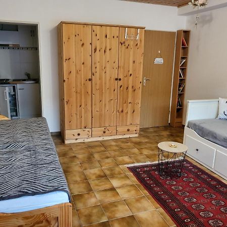 Apartment Betzenberg, Nur Netflix Кайзерслаутерн Экстерьер фото